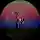Group DP